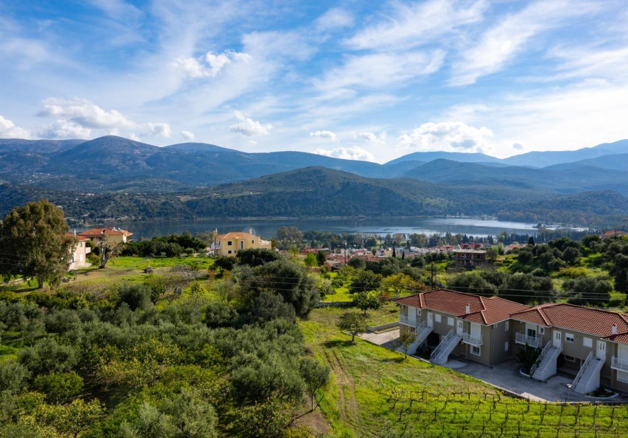 Apaggio Di Argostoli Apartments - Private Parking & Sea View Eksteriør bilde